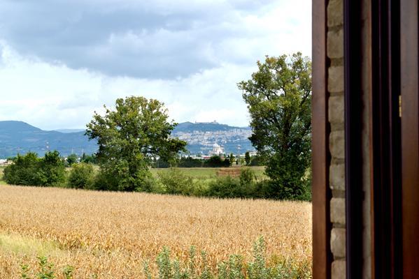 Agriturismo Bellarosa Assisi Eksteriør bilde